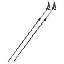 Bastoncini da nordic walking Fizan Tekno Race Impulse grigio Grey