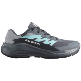 Scarpe da donna Salomon Alphaglide Gore-Tex grigio/blu Turbulence / Aruba Blue / Dark Navy