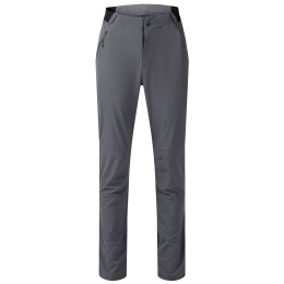 Pantaloni da uomo Dare 2b Torrek Lite Trouser grigio Magnet