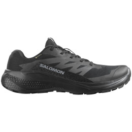 Scarpe da uomo Salomon Alphaglide Gore-Tex