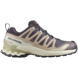 Scarpe da trekking da donna Salomon Xa Pro 3D V9 Gore-Tex