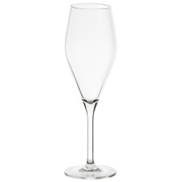 Set di bicchieri Gimex ROY Champagne glass
