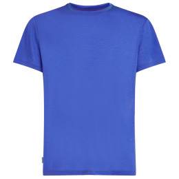 Maglietta funzionale da uomo Icebreaker Men Merino Core SS Tee