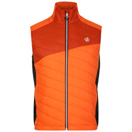 Gilet da uomo Dare 2b Touring Gilet arancione Puffins Orange/Rooibos Tea