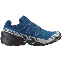 Scarpe da corsa da uomo Salomon Speedcross 6 Gore-Tex