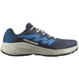 Scarpe da corsa da uomo Salomon Alphaglide Gore-Tex