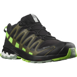 Scarpe da corsa da uomo Salomon Xa Pro 3D V8 Gore-Tex nero/verde Black