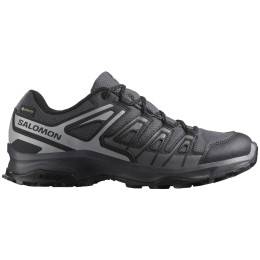 Scarpe da trekking da uomo Salomon Extegra Gore-Tex