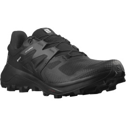 Scarpe da uomo Salomon Wildcross 2 Gore-Tex nero Black(PantoneTapShoe)