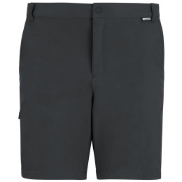 Pantaloncini da uomo Regatta Anti-Insect Travel Light Shorts grigio Ash