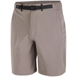 Pantaloncini da uomo Salomon Wayfarer 2.0 short M grigio Iron