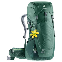 Zaino da donna Deuter Futura 24 SL (2020) verde SeagreenForest