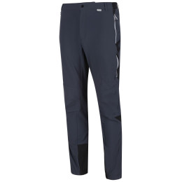 Pantaloni da uomo Regatta Mountain Trs III