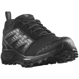 Scarpe da corsa da donna Salomon Wander Gore-Tex nero Black / Plum Kitten / Gull