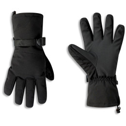 Guanti da sci Dare 2b Pinnacle Glove nero Black