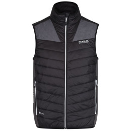 Gilet da uomo Regatta Halton BW III Hybrid nero Black/Magnet