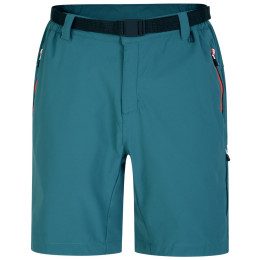 Pantaloncini da uomo Dare 2b Tuned In ProShort verde/blu MediteranGrn