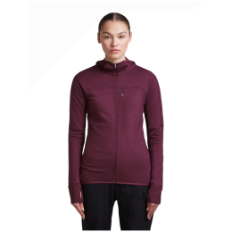 Felpa tecnica da donna Icebreaker W M 300 Descender LS Zip Hoodie