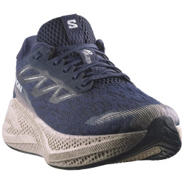 Scarpe da corsa da uomo Salomon Aero Glide 4