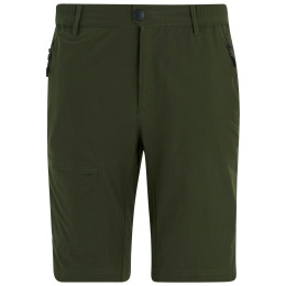 Pantaloncini da uomo Regatta Highton Shorts Long II