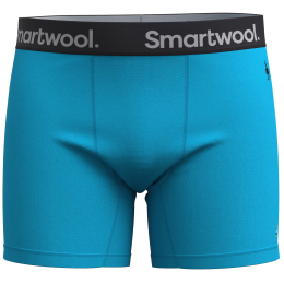 Boxer da uomo Smartwool M Boxer Brief Boxed