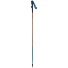 Bastoncini Dynafit Vertical Pole blu general Lee / methyl blue