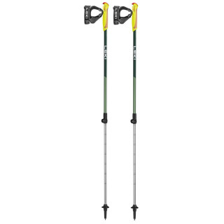 Bastoncini da nordic walking per bambini Leki Walker XS verde green metallic-olivgreen-white