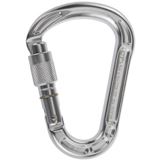 Moschettone Climbing Technology Concept SG silver