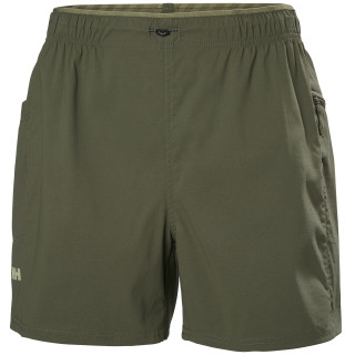 Pantaloncini da donna Helly Hansen W Vista Hike Shorts verde UTILITY GREEN