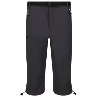 Pantaloni a 3/4 da uomo Regatta Xert Str CapriIII grigio Seal Grey