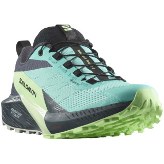 Scarpe da corsa da donna Salomon Sense Ride 5 Gore-Tex blu/verde Blue Radiance / Green Ash / India Ink