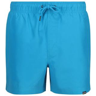 Pantaloncini da uomo Regatta Mawson SwShortIII azzurro Fluro Blue