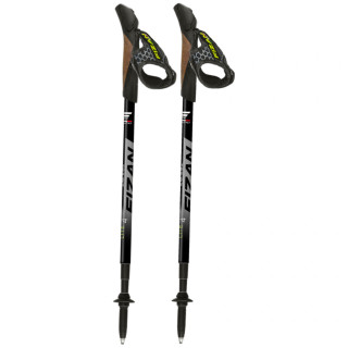 Bastoncini da nordic walking Fizan NW Lite 4 grigio černo-Šedá