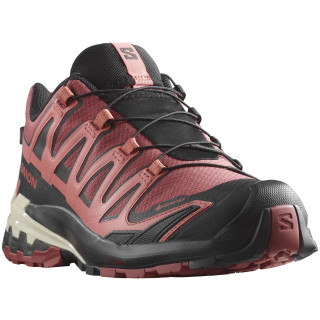 Scarpe da trekking da donna Salomon Xa Pro 3D V9 Gore-Tex