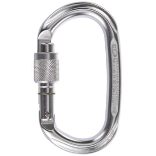 Moschettone Climbing Technology Pillar SG silver