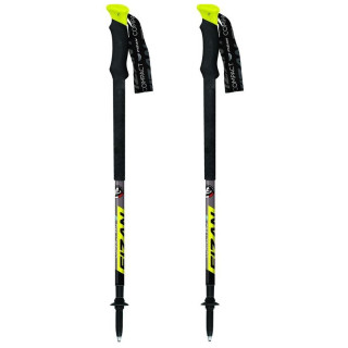 Bastoncini da trekking Fizan Compact Pro verde Green