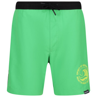 Costume da bagno da uomo Regatta Bentham swim short verde Fairway Green/Black