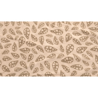 Tappeto Robens Fleece Carpet Chinook Ursa beige