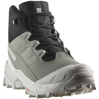 Scarpe da donna Salomon Crosstrak Waterproof