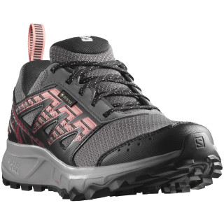 Scarpe da corsa da donna Salomon Wander Gore-Tex grigio Plum Kitten / Black / Peach Amber