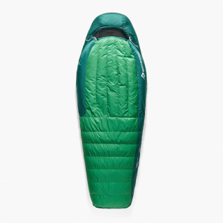 Sacco a pelo in piuma Sea to Summit Ascent -1C Long verde Rain Forest Green