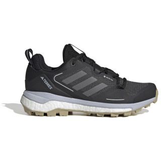 Scarpe da donna Adidas Terrex Skychaser 2 GTX W nero Cblack/Halsil/Halblu