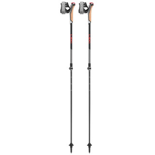 Bastoncini da nordic walking Leki Poles Instructor Lite nero/rosso dark anthracite-silvergray-bright red