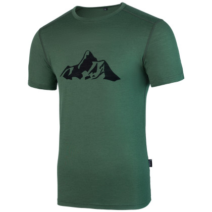 Maglietta da uomo Warg Merino Mountain 165 Short verde Green