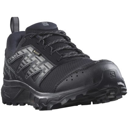 Scarpe da corsa da uomo Salomon Wander Gore-Tex nero Black / Pewter / Frost Gray