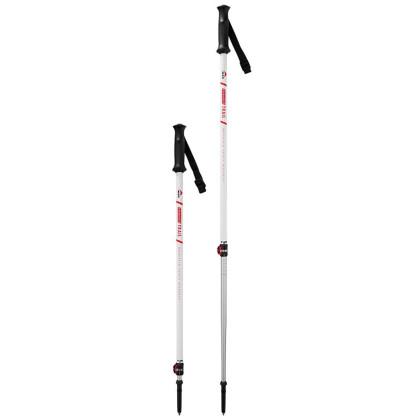 Bastoncini da trekking MSR DynaLock Trail 2 100 - 140 cm bianco