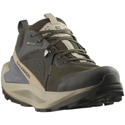 Scarpe da uomo Salomon Elixir Gore-Tex