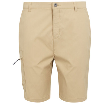 Pantaloncini da uomo Regatta Dalry Short beige Oat