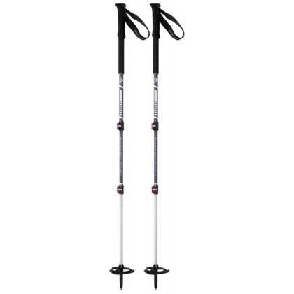 Bastoncini da trekking MSR Dynalock Explore 63-140 cm grigio