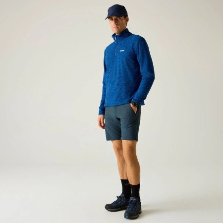 Pantaloncini da uomo Regatta Xert Stretch Shorts